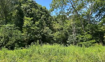 18781 Private Drive 1145, Ava, MO 65608