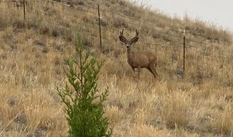 5835 Spaulding Bridge Rd, Belgrade, MT 59714