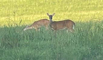 3802 Liberty Church Rd, Auburn, KY 42206