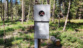 1365 MT Highway 209, Bigfork, MT 59911