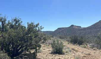 295 Old Deputy Shortline, Ash Fork, AZ 86320