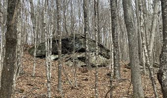 0 TBD Elleber Sods Rd, Bartow, WV 24920