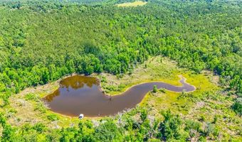 93 Acres Dell Rd, Bainbridge, GA 39819