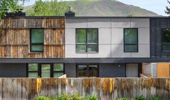 250 S Original St B, Aspen, CO 81611