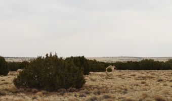21 County Rd, Concho, AZ 85924