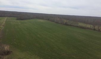 3855 SULPHUR CREEK Rd, Big Sandy, TN 38221