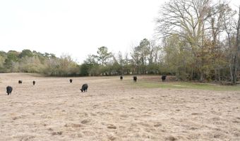 S Washington NE Street, Brookhaven, MS 39601