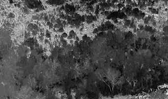 Voorhees Road, Bamberg, SC 29003