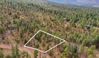 14 County Rd 2074, Alpine, AZ 85920
