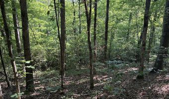 Creek Road lot 4, Ashland, AL 36251