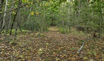Vail Road lot 76, Barnstead, NH 03225