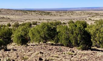 Tbd Co Rd 5062 Lot 1 3.53 Acres, Concho, AZ 85924