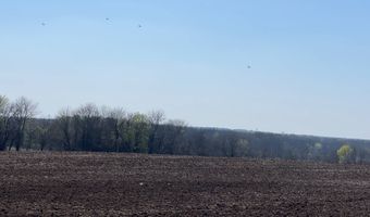 25104 335th, Archie, MO 64725