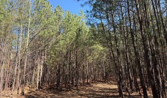 MOUNTAIN CUT RD lot D, Appomattox, VA 24522