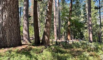 3229 Ponderosa Rd, Arnold, CA 95223