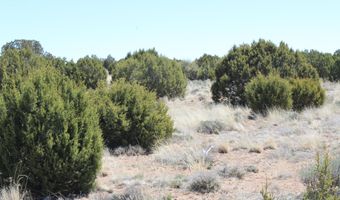 80 County Road 8620, Concho, AZ 85924