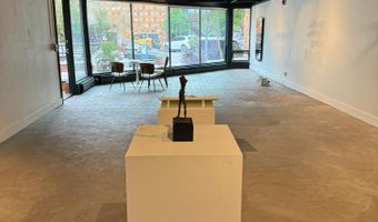 620 E Hyman Ave 2, Aspen, CO 81611