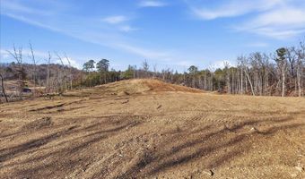 Industrial Drive, Bean Station, TN 37708
