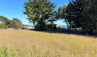 34201 Pacific Reefs Rd, Albion, CA 95410
