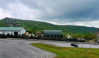 301 Pinnacle Inn Rd 3309, Beech Mountain, NC 28604