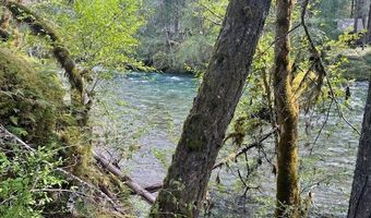 54785 McKenzie River Dr, Blue River, OR 97413