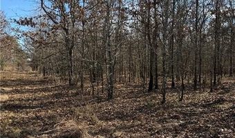 Tract 1 Rural Atoka, Atoka, OK 74525