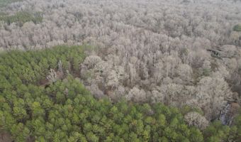 U.S. Highway 51, Bogue Chitto, MS 39629