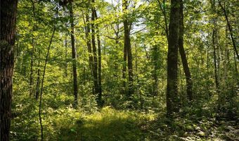 Tbd 359th Ln, Aitkin, MN 55760