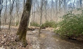 Brair Fork Road, Bean Station, TN 37708