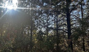 Old CC Rd, Addy, WA 99101