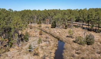13 Gray Goose Dr, Aurora, NC 27806