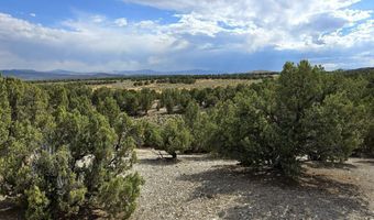 816 Hamilton Stage Rd, Elko, NV 89801