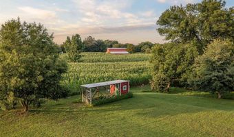 264 Ford Ave, Albertville, AL 35951