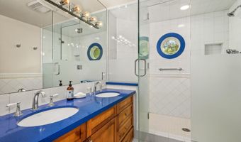 431 W Hopkins Ave, Aspen, CO 81611