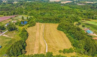 157 Buttercup Ln, Ararat, NC 27007