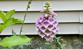 127 Swan Lake Ave, Belfast, ME 04915