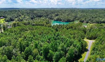 Arley Lndg, Arley, AL 35541