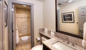 46 Avondale Ln 505, Week 47 & 48, Beaver Creek, CO 81620