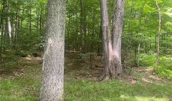 4973 Stryker Rd, Amity, NY 14813