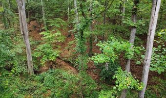 10 Cross St, Abbeville, SC 29620