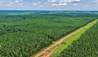 Harry Priddy Road, Americus, GA 31719