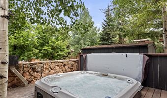 731 S Mill St 2C, Aspen, CO 81611