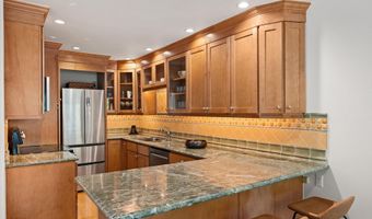 980 E Hyman Avenue 3, Aspen, CO 81611