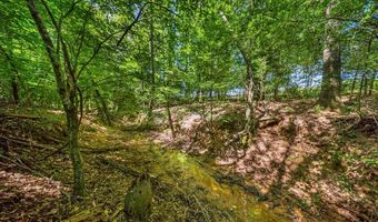 522 CR 2717, Alto, TX 75925