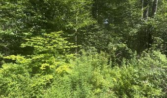 Spruce Rd 26, Blakeslee, PA 18610