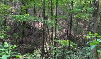 88 Acres Bolden Br, Andrews, NC 28901