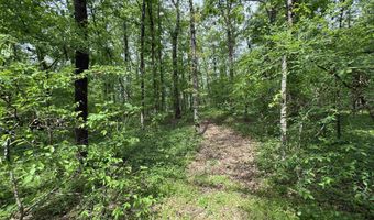Tract 1 East Bay Road, Atkins, AR 72823