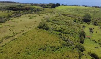 1-3 PRIVATE Rd, Hakalau, HI 96710