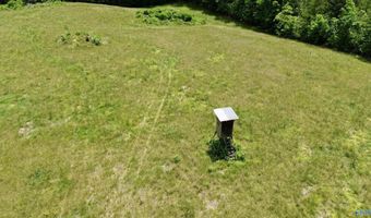 120 Carnes Chapel Rd, Attalla, AL 35954