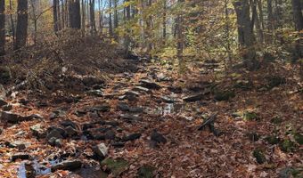 Rand Hill Road, Altona, NY 12910